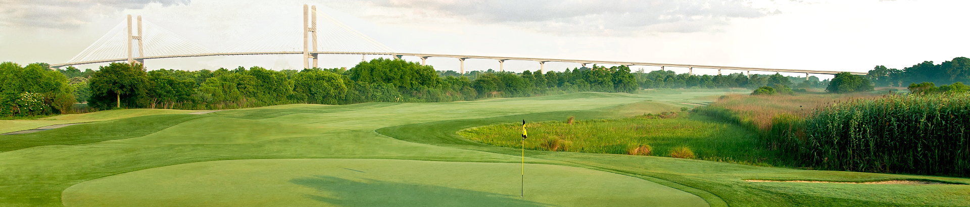 Image of golf ball on tee on grass.